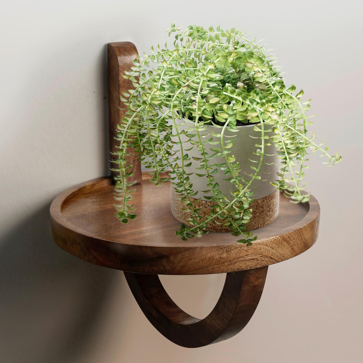 Stenski Regal Wl6.788 - naravne barve, Natur, les (30/33/30cm) - MID.YOU