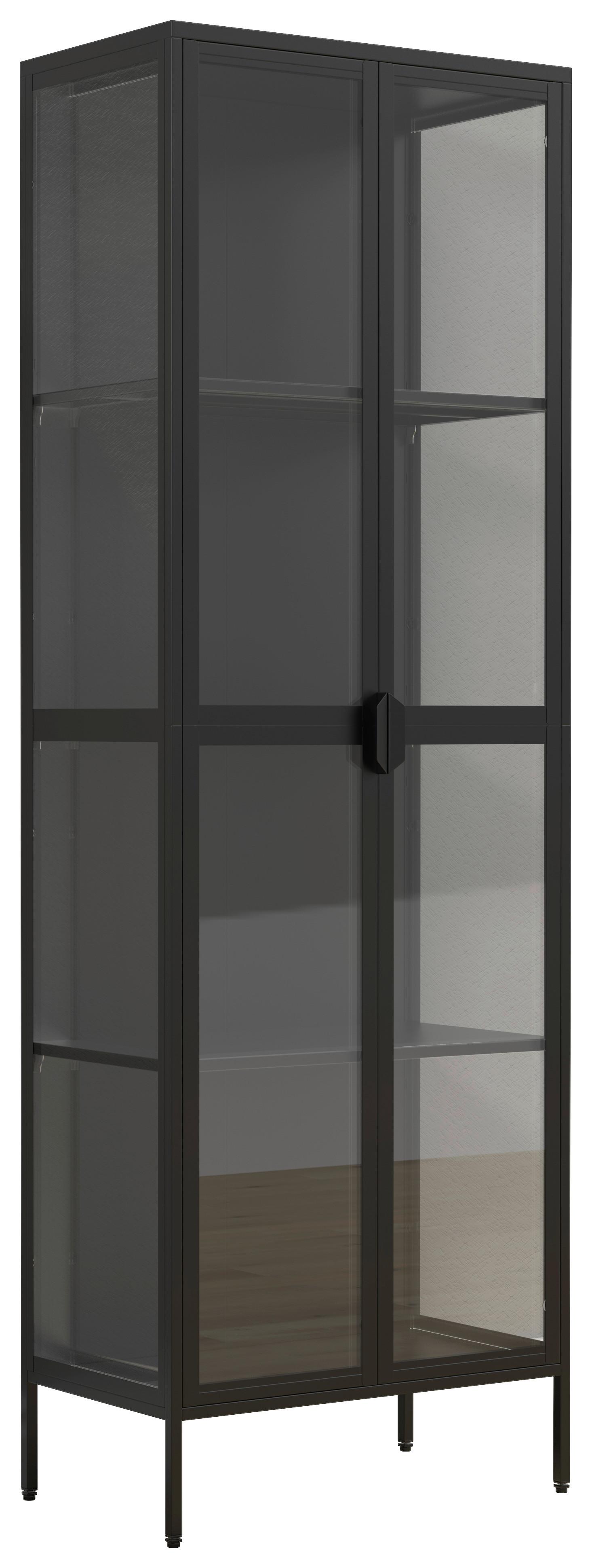 Vitrina Floka Xxl, Črna - črna/prosojno, Design, kovina/steklo (60/180/35cm) - MID.YOU