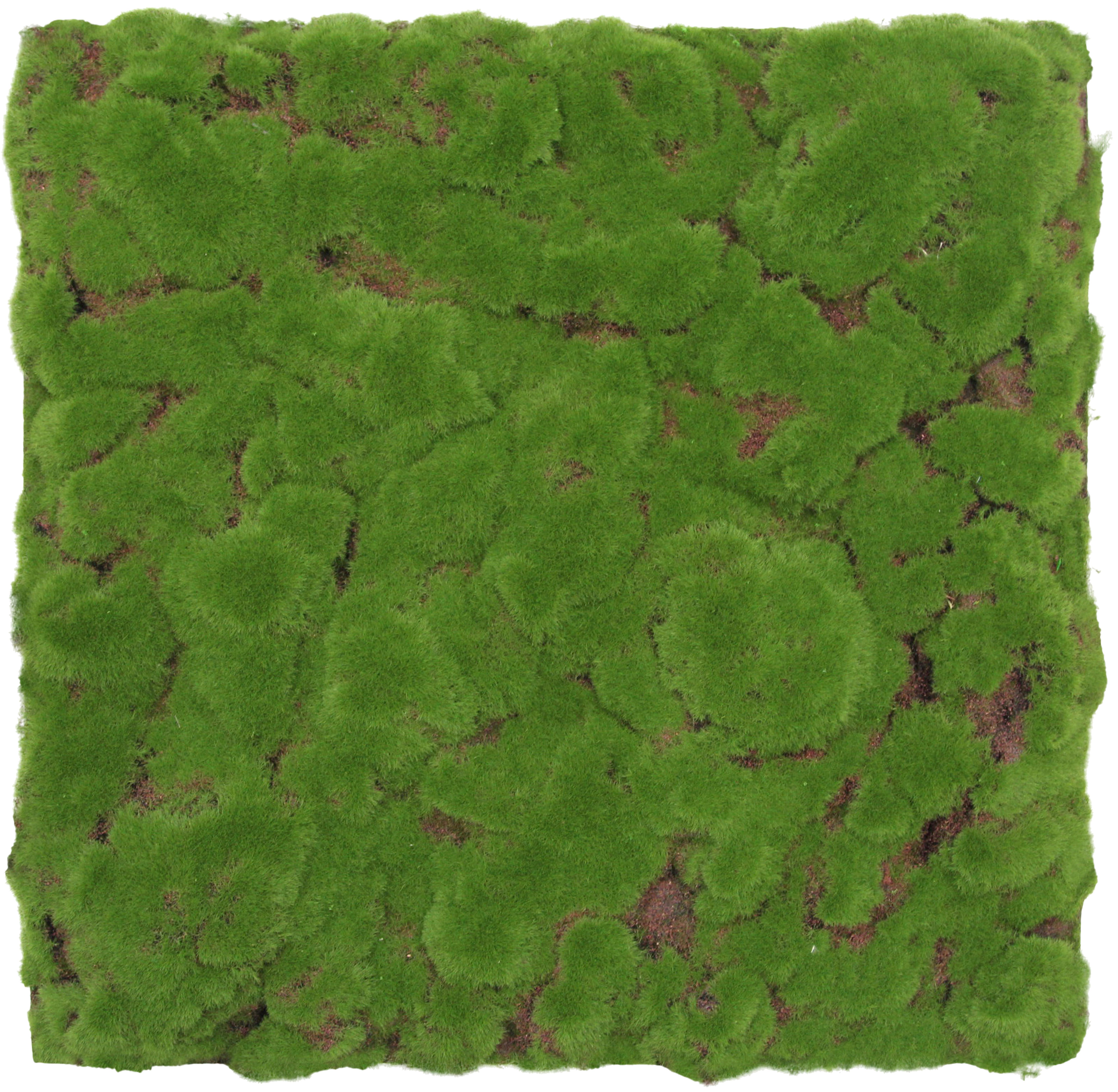 PANEL AKUSTYCZNY 11111 FOREST GREEN BULK DESIGN - jasnozielony, Konventionell, materiały naturalne (52/52/2,6cm) - Jangal