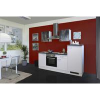 Kuhinjski Blok Z Aparati Lucca, Bela - bela/barve aluminija, Moderno, umetna masa/leseni material (220cm) - FlexWell