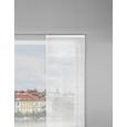 Panelna Zavesa Louis - bela, Konvencionalno, tekstil (60/245cm) - Mömax modern living Panelna Zavesa Louis - bela, Konvencionalno, tekstil (60/245cm) - Mömax modern living