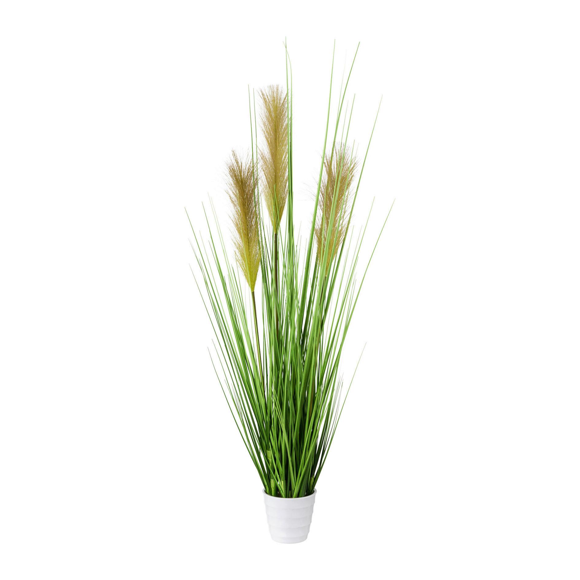 Kunstpflanze Grün - Weiß/Grün, Basics, Kunststoff (80cm)