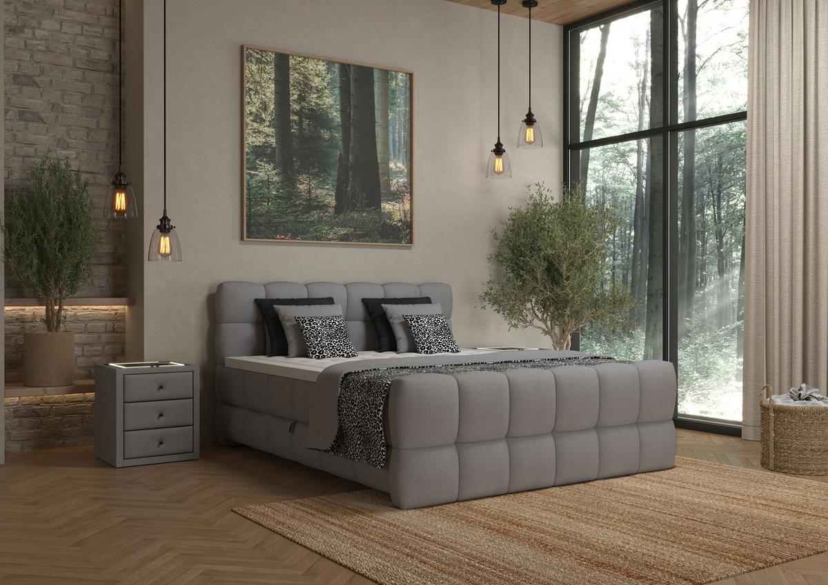 Boxspring Krevet Brisbane - siva/crna, Trend, drvni materijal/drvo (120/200cm) - Premium Living