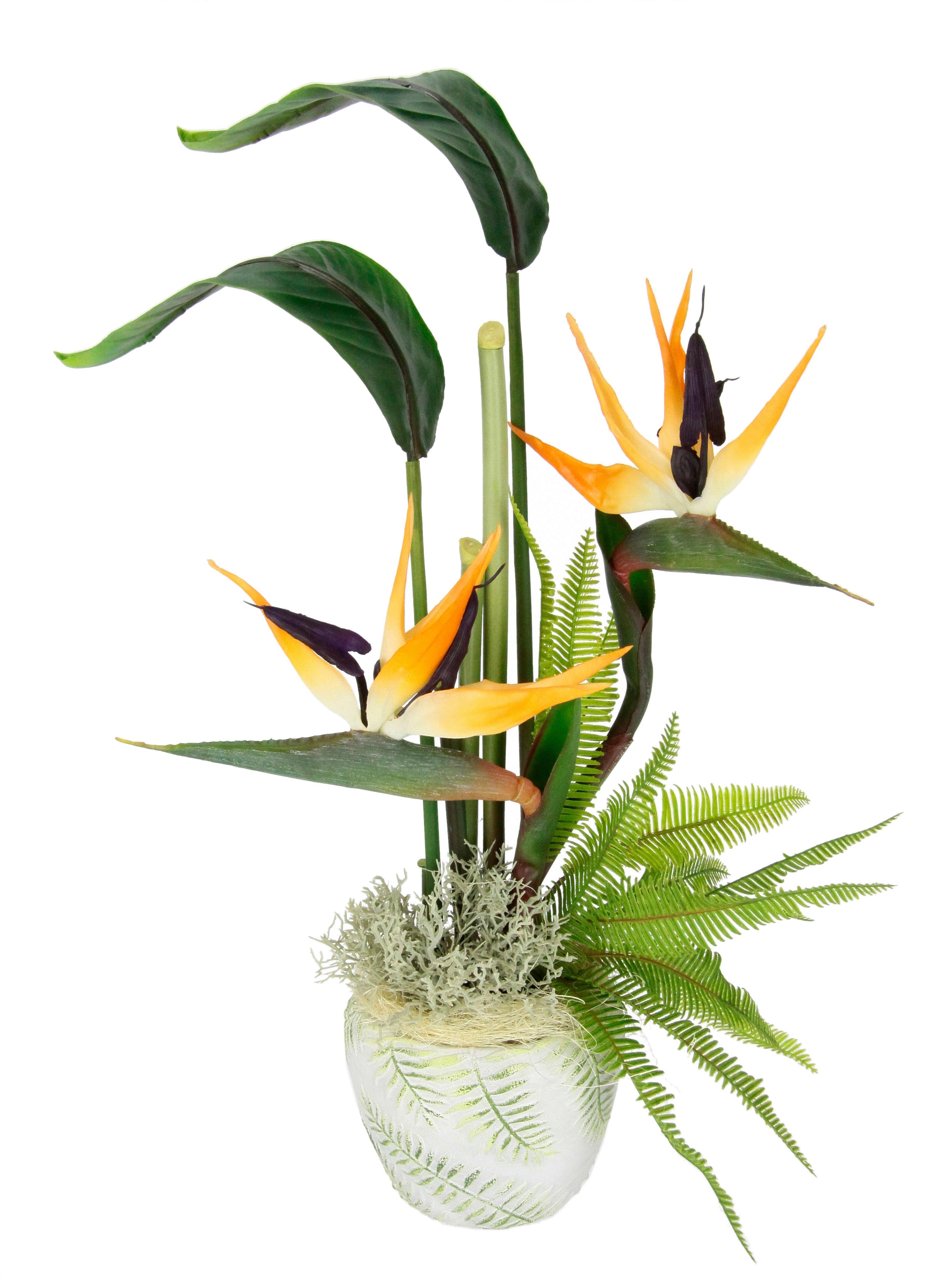 STRELICJA 043796OR - jasnozielony/zielony, Basics, tworzywo sztuczne/tkanina (30/55cm)