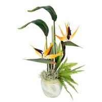 STRELICJA 043796OR - jasnozielony/zielony, Basics, tworzywo sztuczne/tkanina (30/55cm)