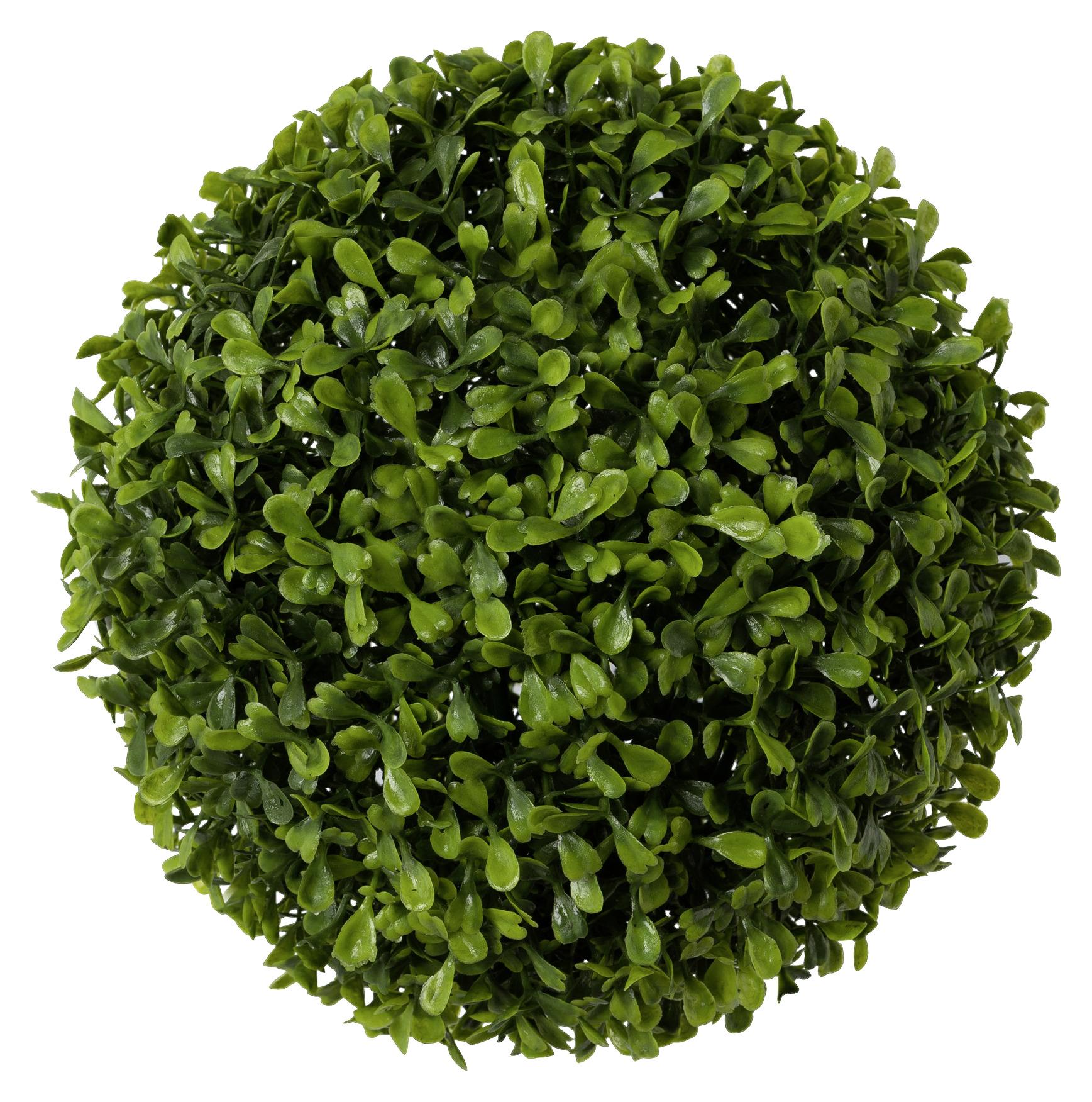 Műnövény Buxus - Zöld, Natur, Műanyag (23cm) - Modern Living