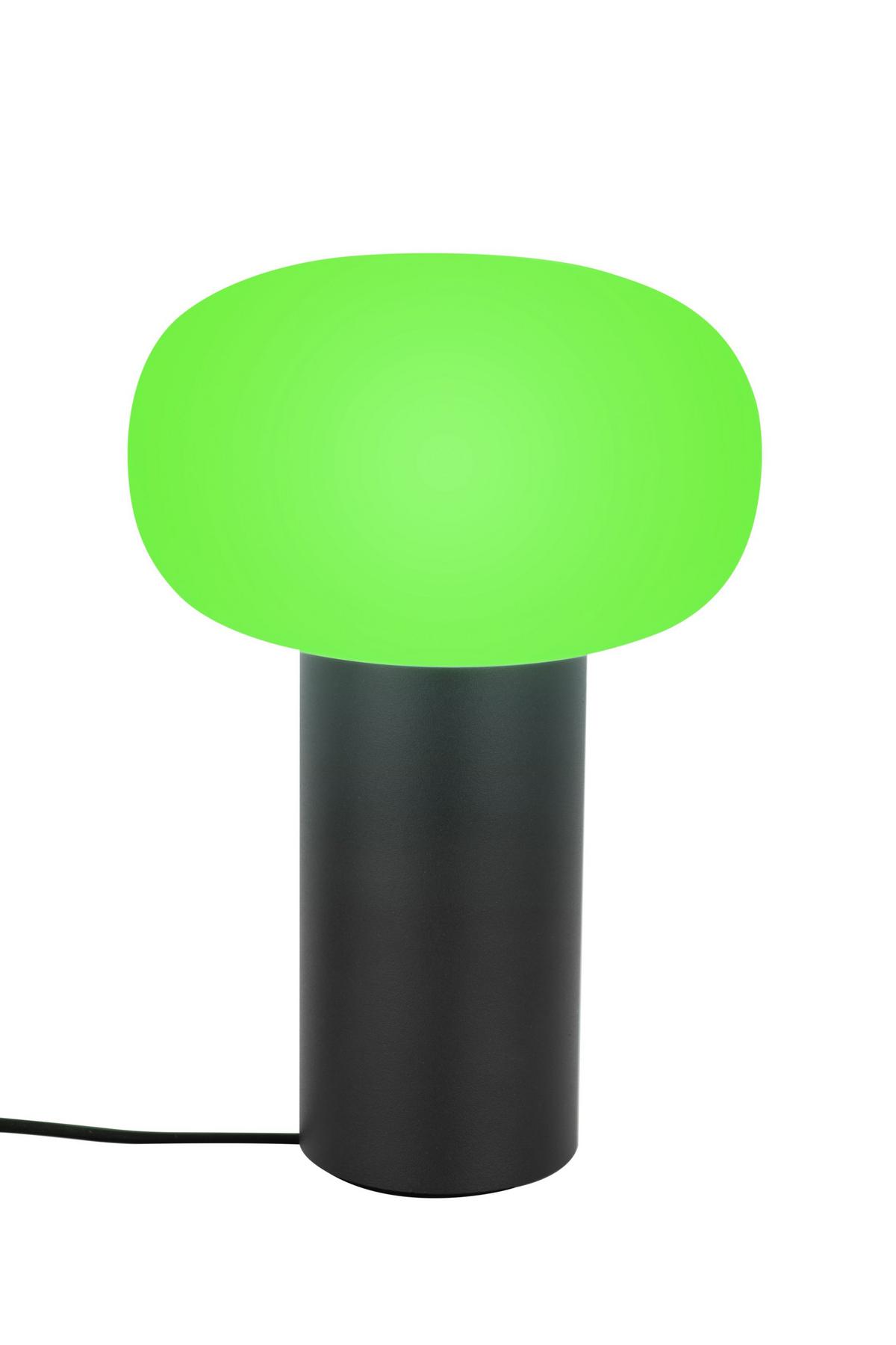 LAMPA STOŁOWA Z AKUMULATOREM FUNGO - biały/ciemnoszary, Design, metal/szkło (13/19cm) - Dieter Knoll