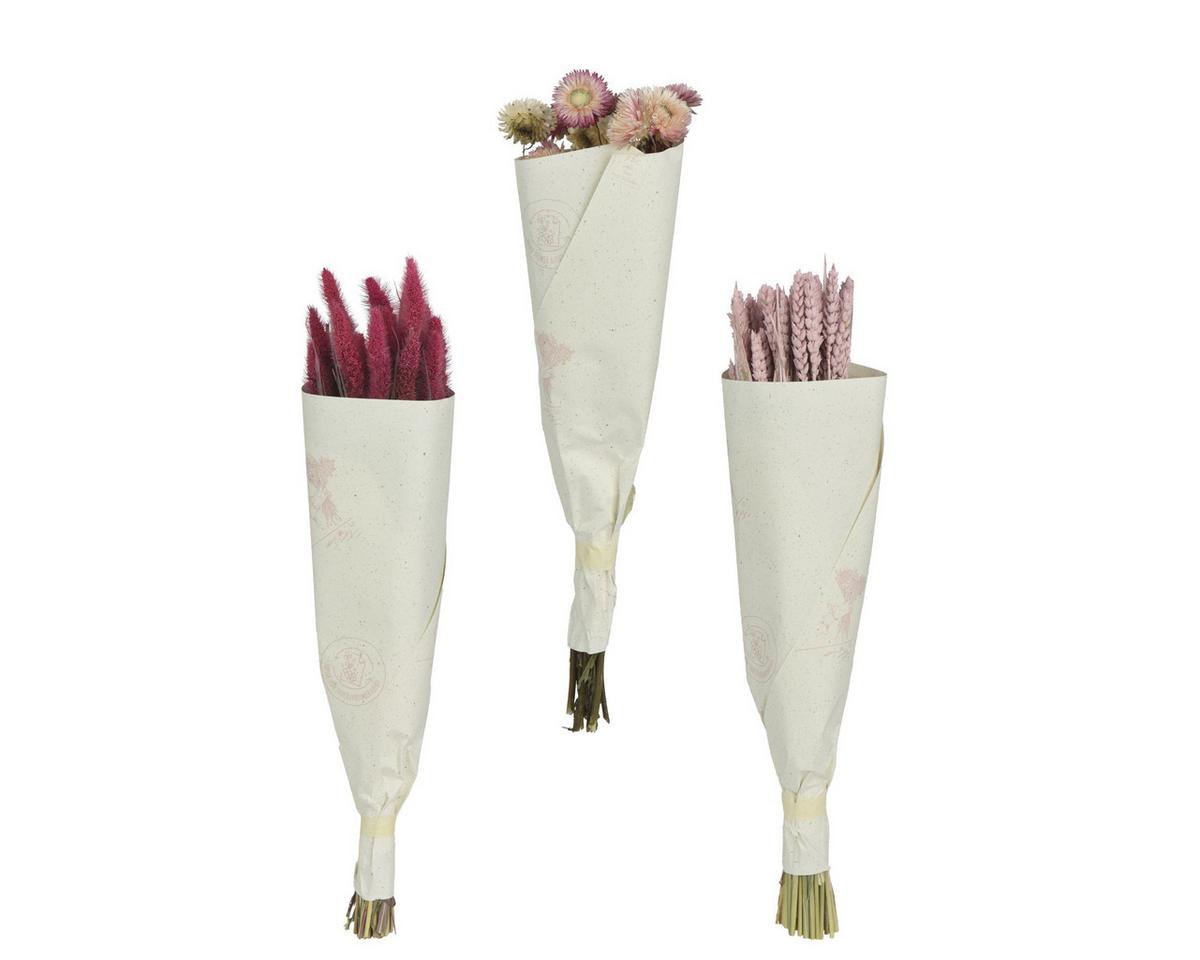 Dekorativno Suho Cvijeće Bloom - Basics (55/25/55cm)