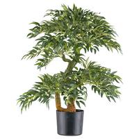 Kunstpflanze Rucus I Grün/Braun - Schwarz/Braun, Konventionell, Kunststoff (14,5/80cm) - Mömax