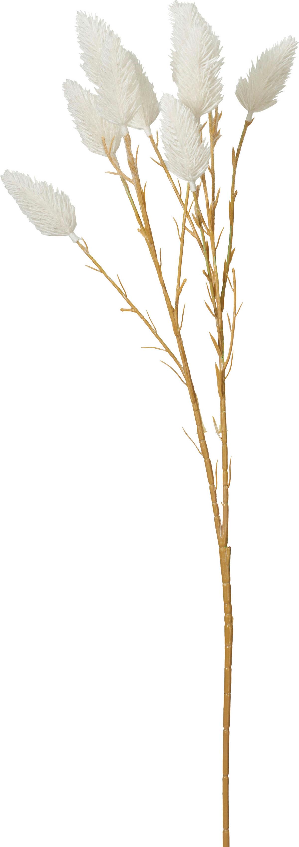 Kunstpflanze Pampasgras diverse Farben - Weiss/Dunkelbraun, Lifestyle, Kunststoff/Metall (25/20/70cm) - Mömax