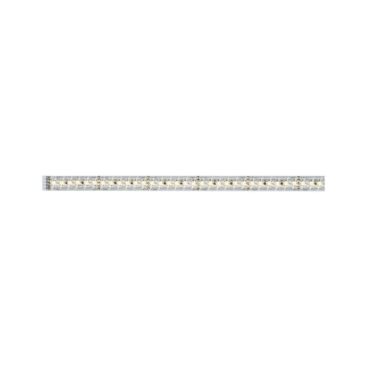 LED-Strip MaxLED 1000 Silberfarben max. 12 Watt - Silberfarben, Basics, Metall (100cm) - Paulmann