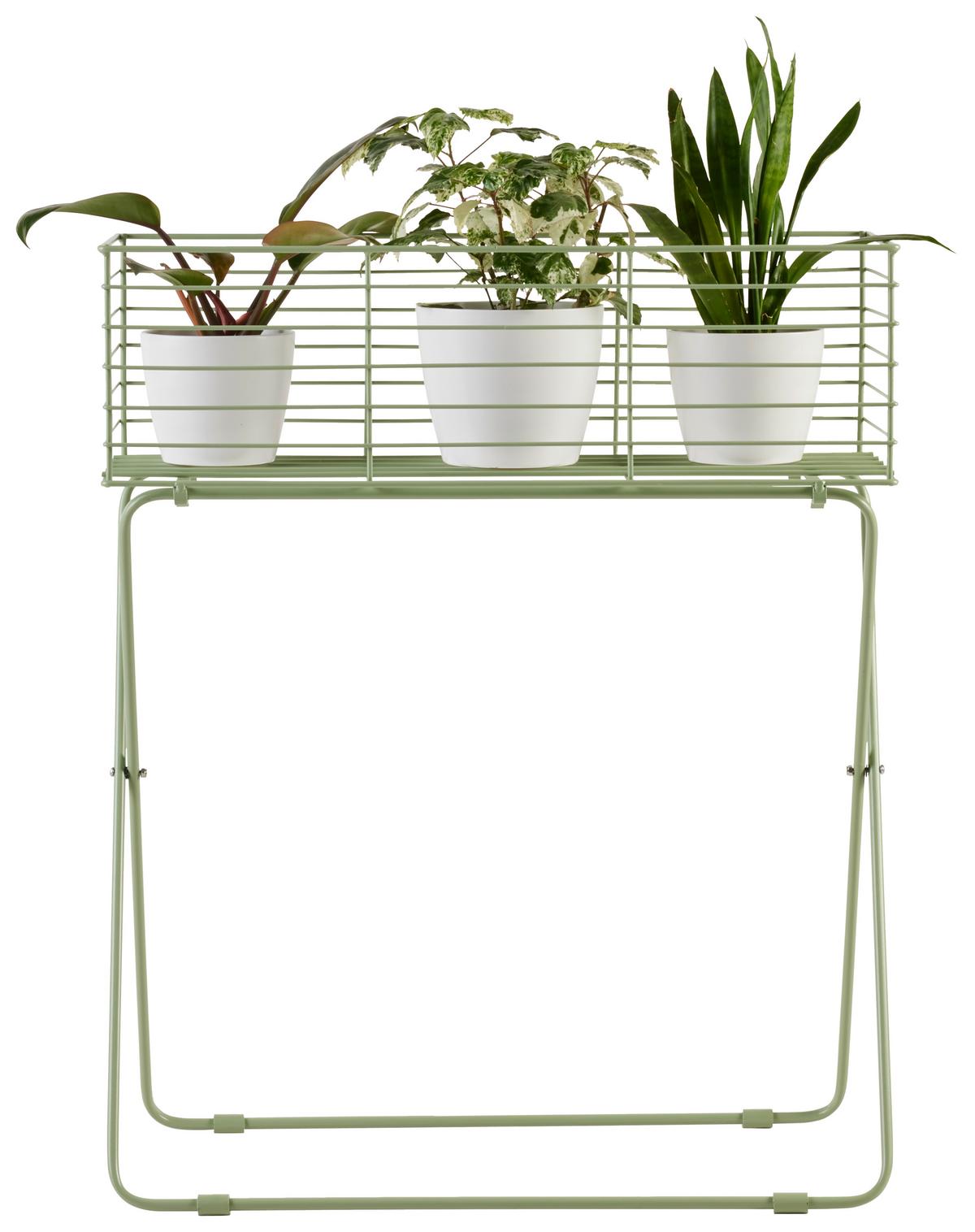 Növénytartó Green Times - pasztellzöld, Basics, fém (60/72/24cm) - Modern Living