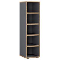 Regal Za Čevlje Salia, Antracit, Barva Hrasta - črna/medeni hrast, Design, umetna masa/leseni material (30/110/33cm) - MID.YOU