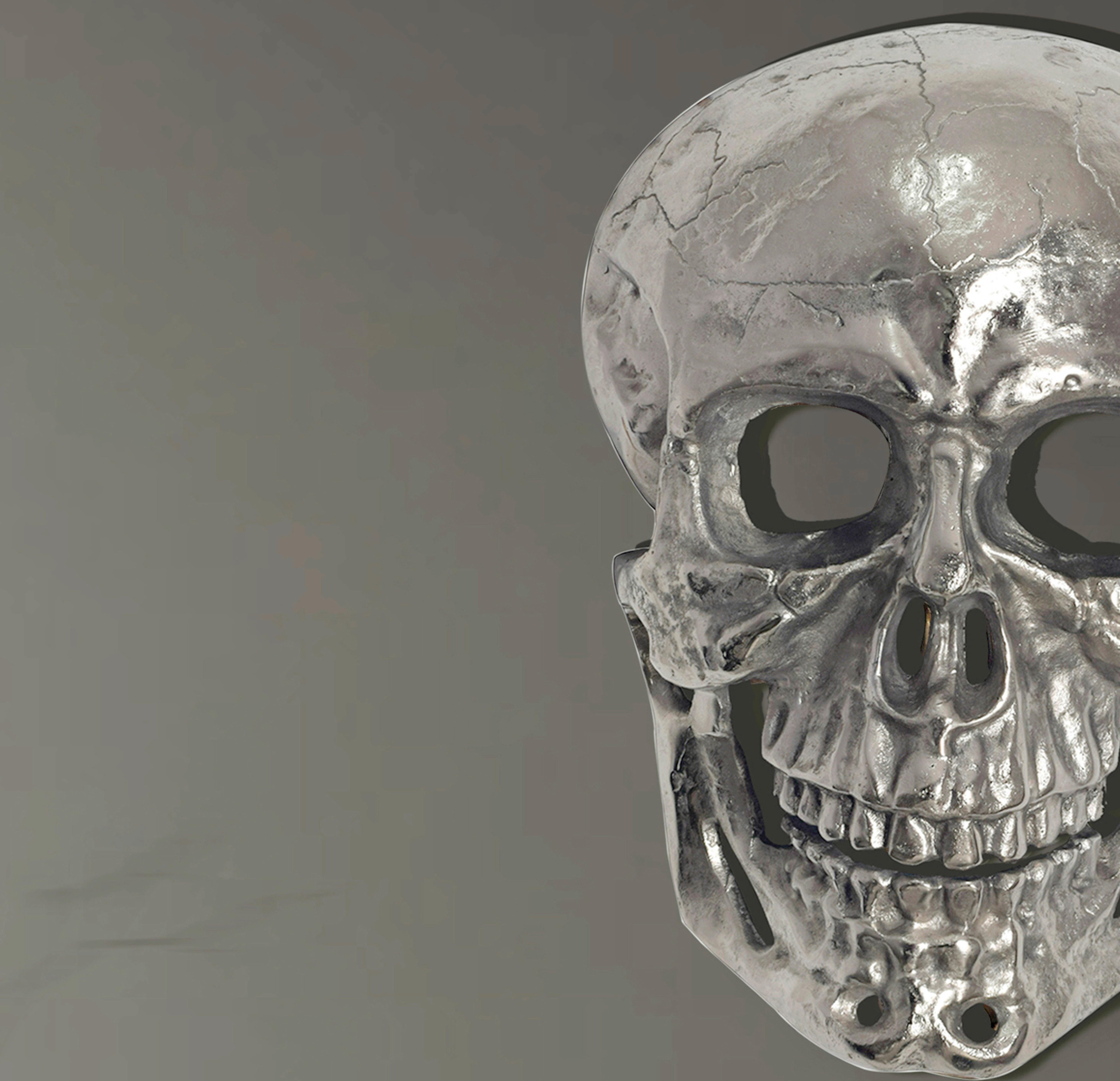 Stenska Dekoracija Skull - srebrne barve, Design, kovina (30/41/15,5cm) - Livetastic
