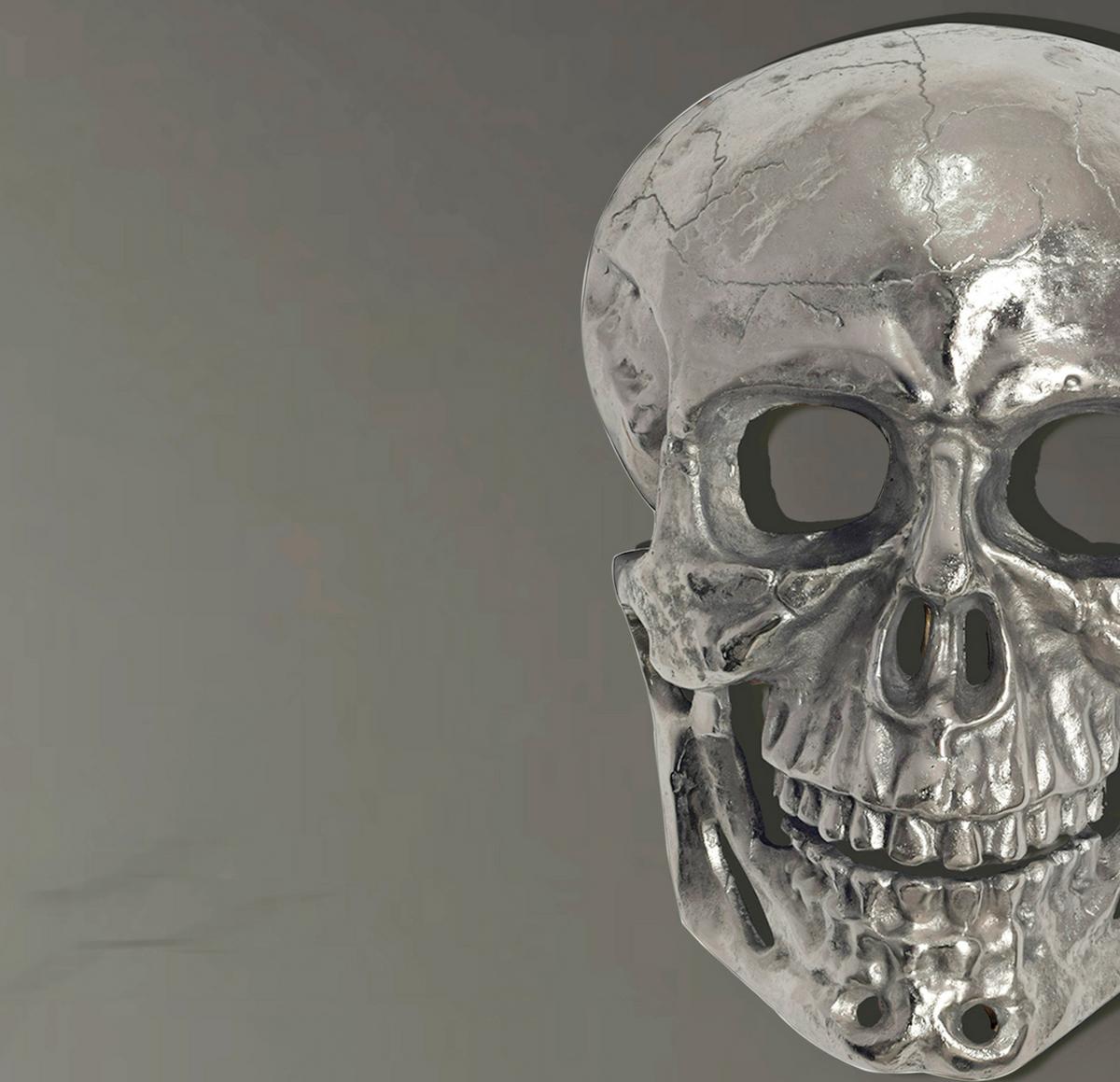 Stenska Dekoracija Skull - srebrne barve, Design, kovina (30/41/15,5cm) - Livetastic