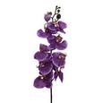 Lepkeorchidea Gundula - lila/zöld, műanyag (98cm) - MÖMAX modern living