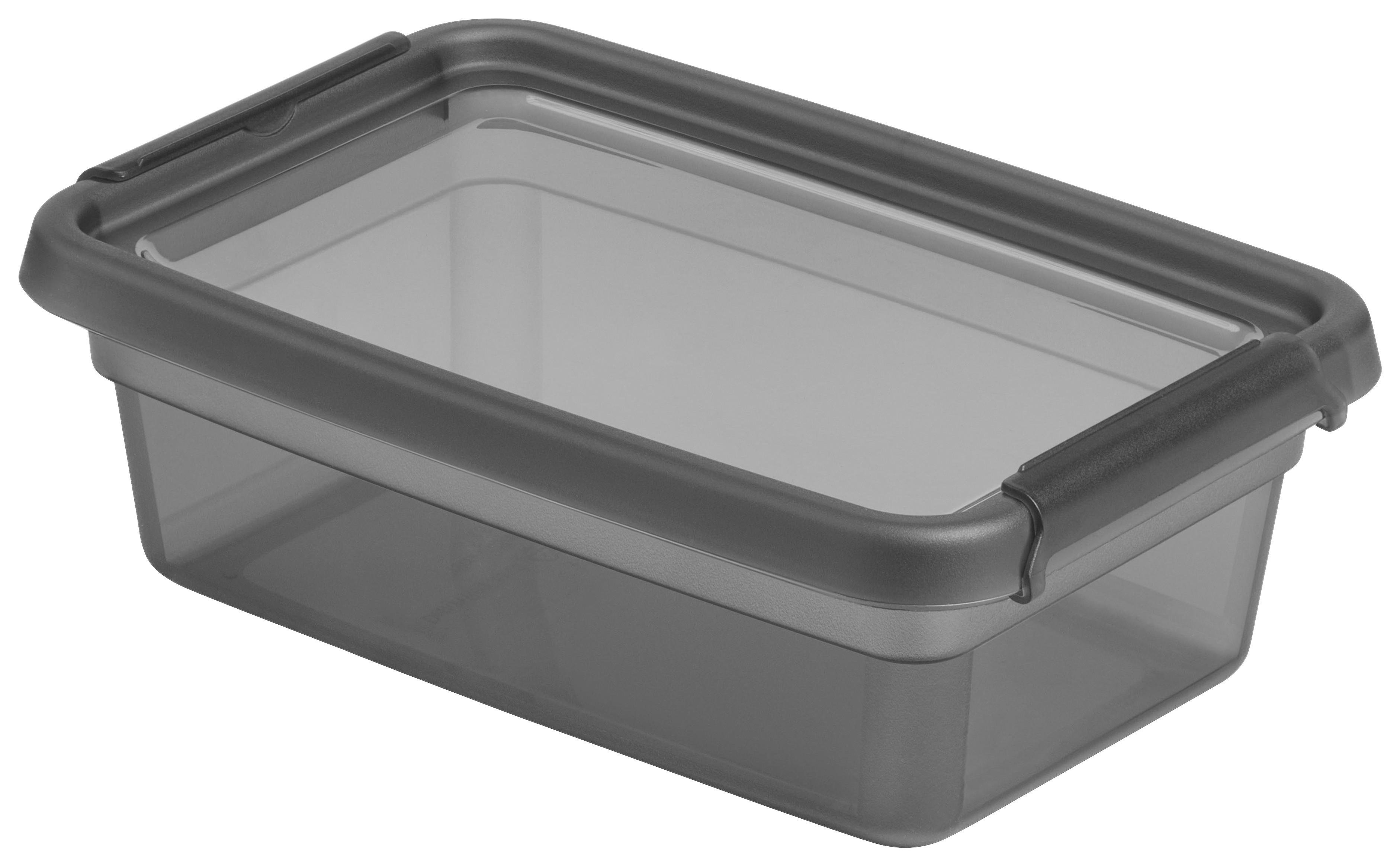 Aufbewahrungsbox Blacky in Schwarz ca. 3l - Transparent/Schwarz, Modern, Kunststoff (19/28/9cm) - Premium Living