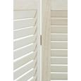 Paravent in Weiß - Weiß, MODERN, Holz/Holzwerkstoff (120/170/2cm) - MÖMAX modern living
