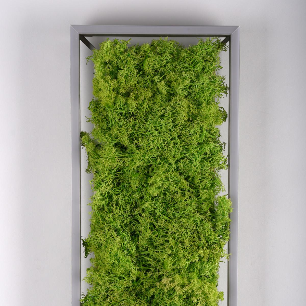 LAMPA SUFITOWA LED 15623-66 KNUT - Natur, tworzywo sztuczne/materiały naturalne (100/25/5,6cm)