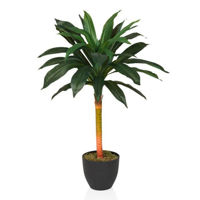 Umetna Rastlina Dracaena I - črna/zelena, Moderno, umetna masa (33/85/33cm) - MID.YOU