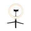 LED-RINGLAMPA TOFO - svart, Modern, metall/plast (24,5/38cm) - Mömax