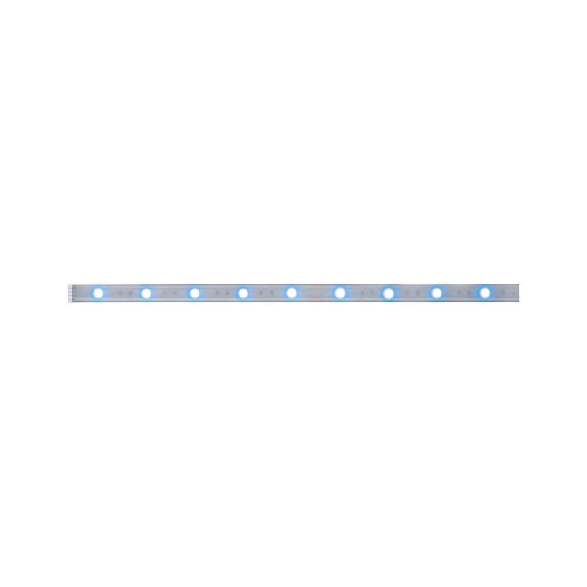 LED-Strip MaxLED 250 max. 7 Watt - Silberfarben, Basics, Kunststoff (100cm) - Paulmann