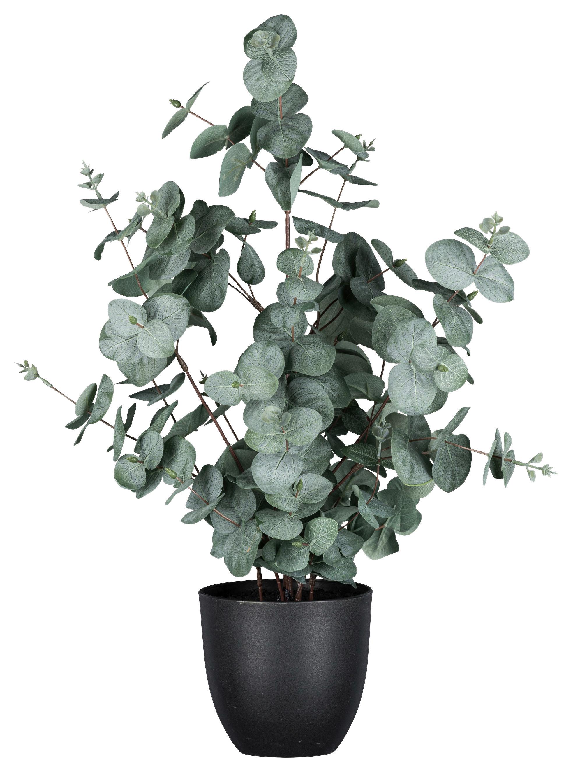 Kunstpflanze Eukalypthus in Grün/Schwarz - Schwarz/Grau, Basics, Kunststoff (60cm)