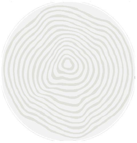 WEBTEPPICH ELIO 2325 160-CREAM - Creme, Basics, Textil (120cm) - Novel