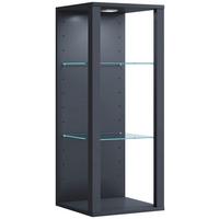VITRINE SUSPENDUE GLASOL MW - Anthrazit, Design, Glas/Holzwerkstoff (35/90/35cm) - MID.YOU