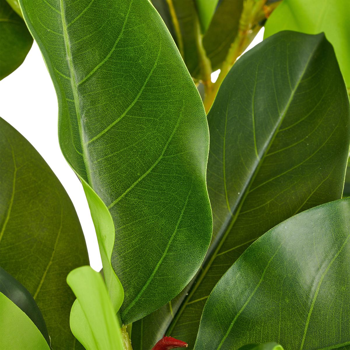 Kunstpflanze Ficus Altissima Grün/Braun/Schwarz - Schwarz/Braun, Basics, Kunststoff (130cm)
