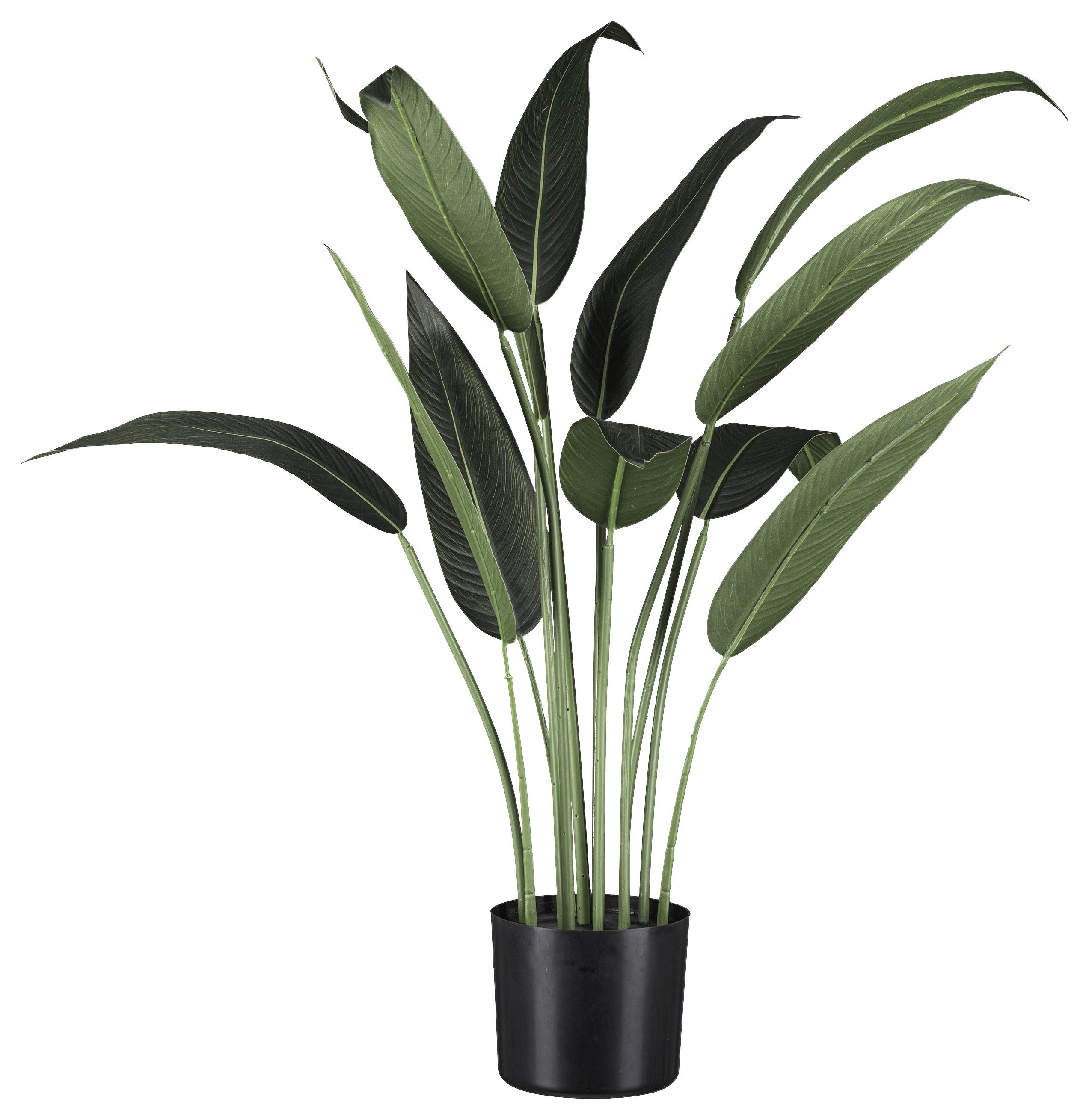 Kunstpflanze Wassercana II in Grün - Schwarz/Grün, Basics, Kunststoff (90cm) - Modern Living
