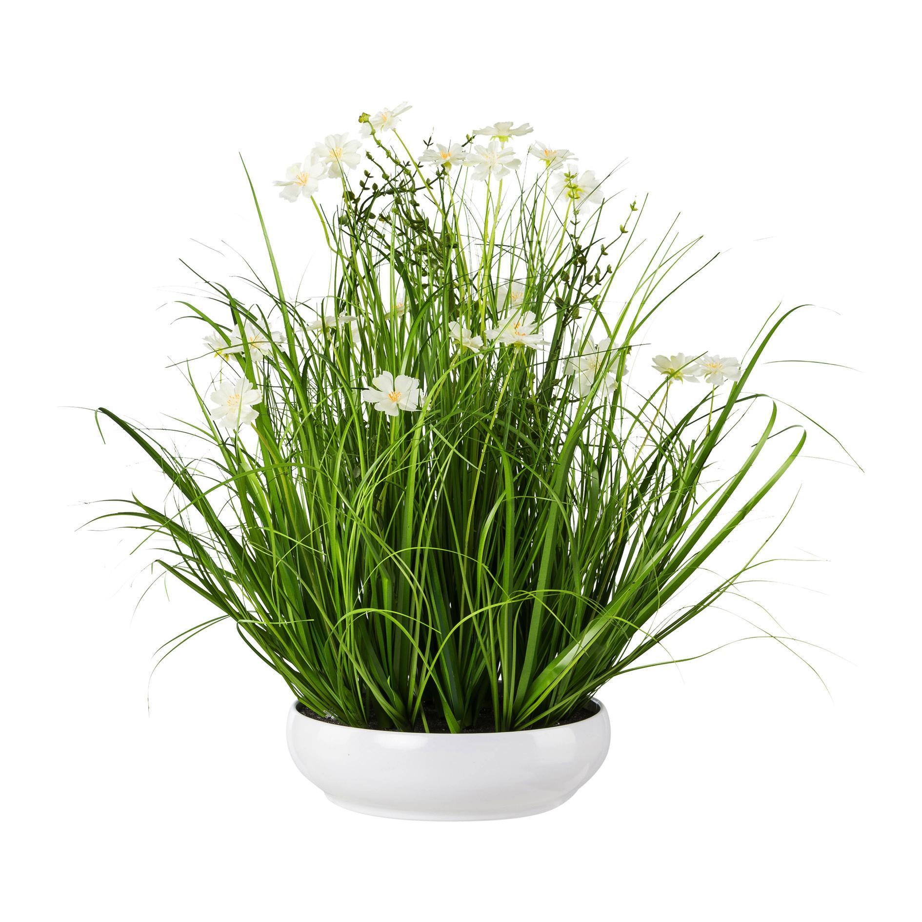 Grasbündel in Grün/Weiß mit  Schale H ca. 52 cm - Weiß, Trend, Kunststoff (52cm)