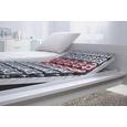 Letvena Podlaga Premium Plate - (90/200cm) - Nadana Letvena Podlaga Premium Plate - (90/200cm) - Nadana