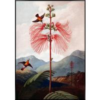 Bild Elena ca. 70x100cm - Multicolor, Holzwerkstoff/Papier (70/100cm) - Modern Living