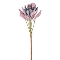 Dekozweig Protea II Lila/Grün - Lila/Grün, KONVENTIONELL, Kunststoff (52cm) - Modern Living