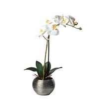 ORCHIDEA 1203-778 - zielony/kolor srebrny, Basics, tworzywo sztuczne/ceramika (45cm)