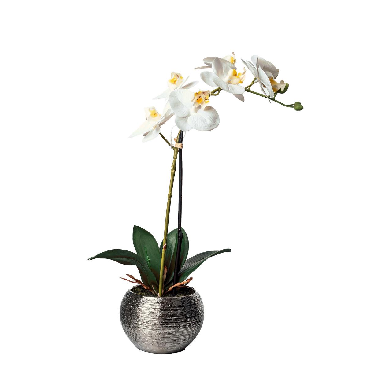 ORCHIDEA 1203-778 - zielony/kolor srebrny, Basics, tworzywo sztuczne/ceramika (45cm)