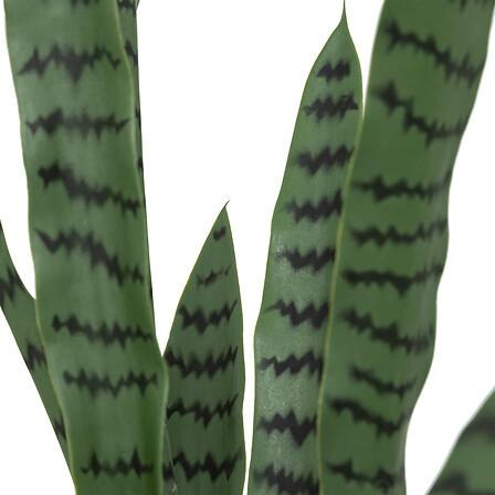 Plantă artificială Toby - Basics (33/90/33cm)