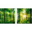Glasbild Green Sunshine, ca.20x40x1,7cm - Multicolor, KONVENTIONELL, Glas (20/40/1,7cm)