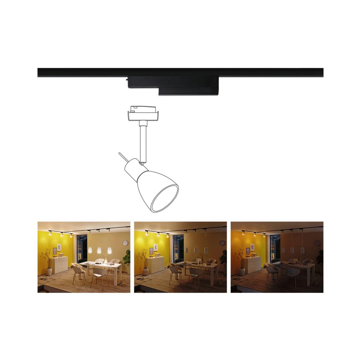 Netzadapter Spot max. 50 Watt - Schwarz, Basics, Kunststoff (16,6/5,0cm) - Paulmann