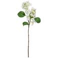 Kunstblume Hortensie Weiß - Weiß/Braun, Basics, Kunststoff (64cm) Kunstblume Hortensie Weiß - Weiß/Braun, Basics, Kunststoff (64cm)