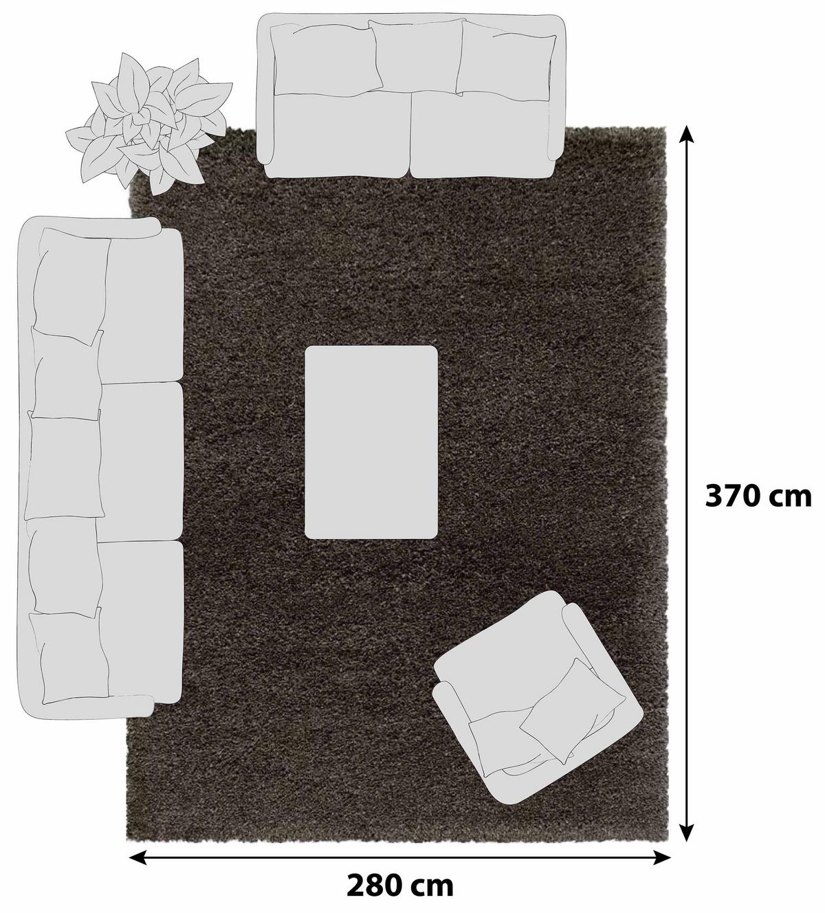 Hochflorteppich Fluffy Braun ca. 280x370cm - Braun, Basics, Textil (280/370cm)