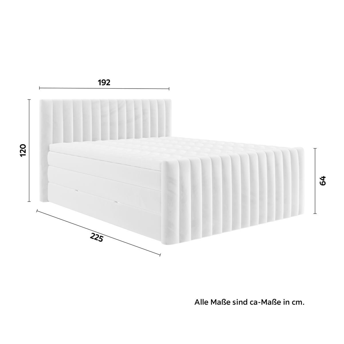 PAT BOXSPRING SIMON - bej, Konventionell, textil/material pe bază de lemn (180/200cm) - Premium Living