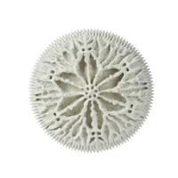 Zidna Dekoracija Tom - Basics (18,8/18,8/5,2cm)