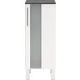 Spodnja Omarica Bozen - bela/krom, Moderno, kovina/steklo (33/85/31cm) - Mömax modern living Spodnja Omarica Bozen - bela/krom, Moderno, kovina/steklo (33/85/31cm) - Mömax modern living