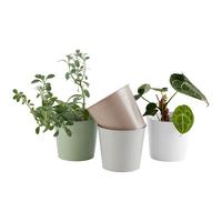 Ghiveci Nora - multicolor, Konventionell, metal (15/17cm) - Mömax