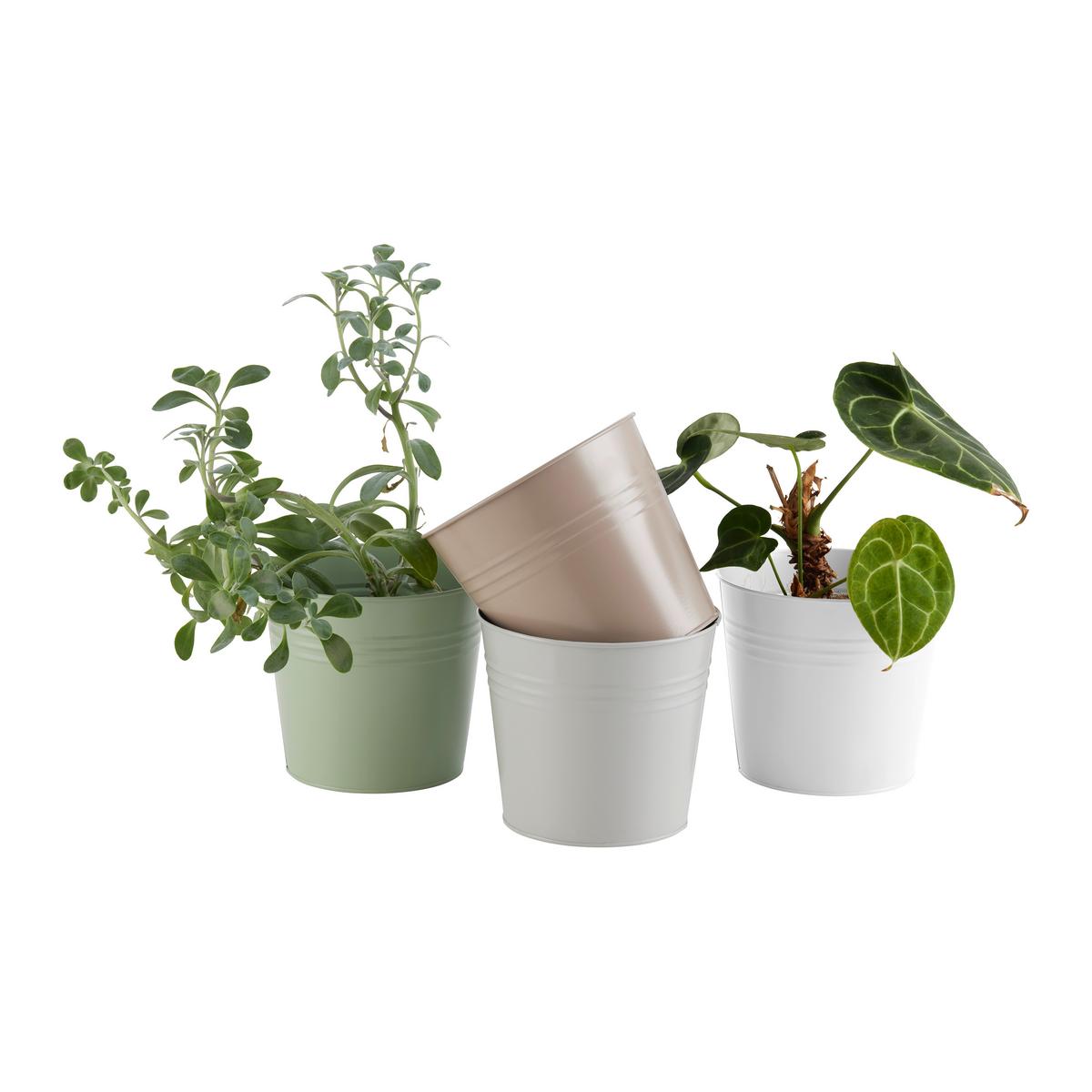 Ghiveci Nora - multicolor, Konventionell, metal (15/17cm) - Mömax