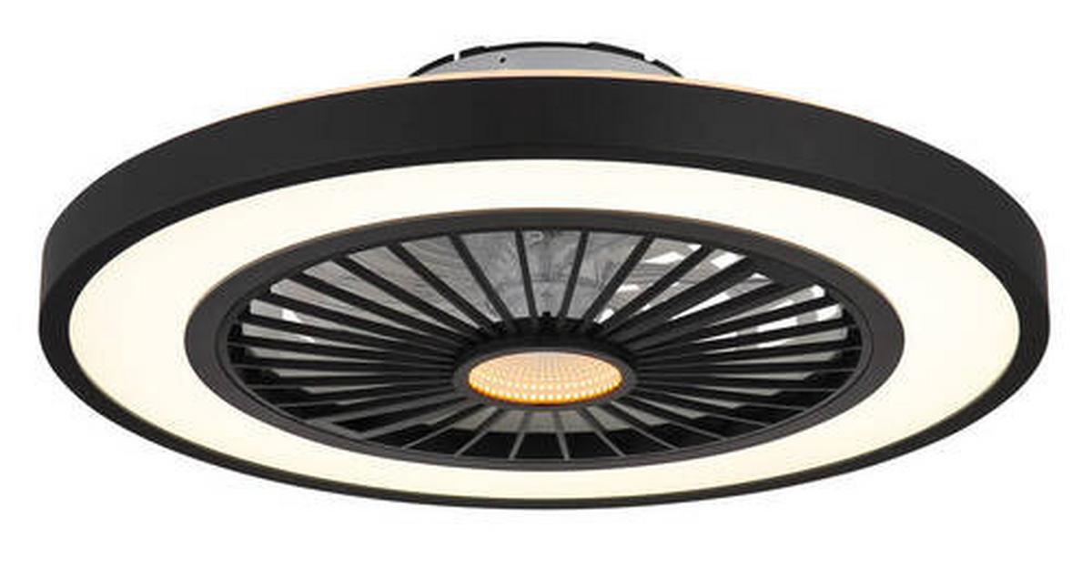 Stropni Ventilator 03653 Bizzak - črna/prosojno, Konvencionalno, kovina/umetna masa (54/15,9cm) - Globo
