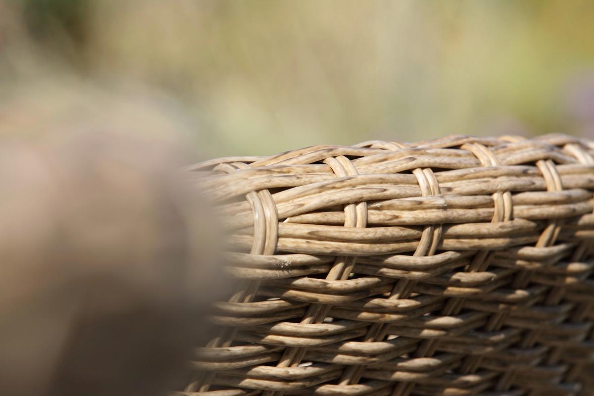 Gartensessel-Set 4-tlg. Atacama Akazienholz - Akaziefarben/Teakfarben, Basics, Holz/Kunststoff (62/77/74cm) - Acamp