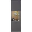 Vitrina Arizona - krom/srebrna, Moderno, kovina/umetna masa (60/189/42cm) - Premium Living